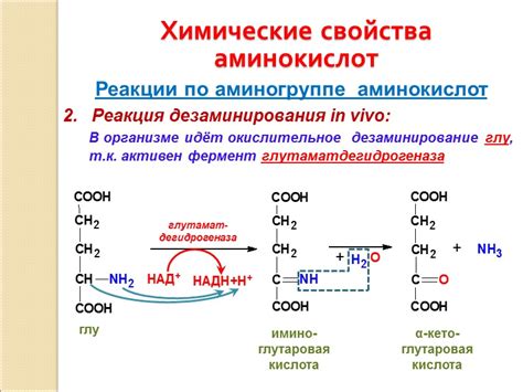 Реакция аминокислот среды