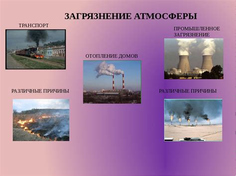 Реакция на воздействие среды