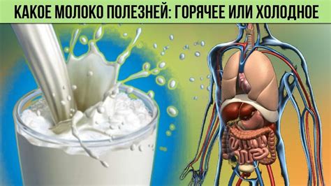 Реакция организма на горячее молоко
