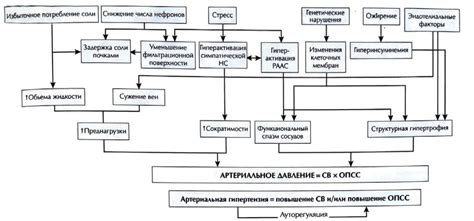 Реакция организма на грибы у пациентов с гипертонией