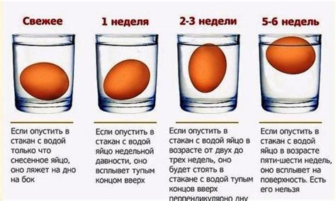 Реакция яйца на контакт с водой