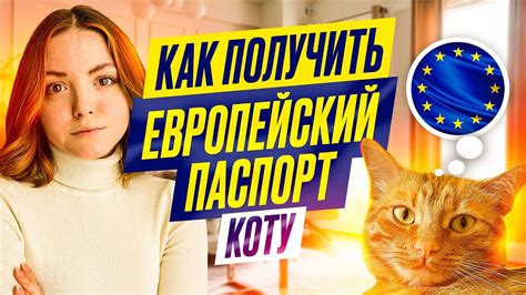 Регистрация кота в системе "Электронный паспорт животного"