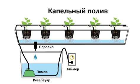 Регулировка системы полива для теплицы