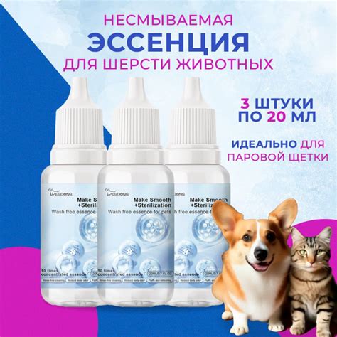Регулярная гигиена для блеска и мягкости шерсти