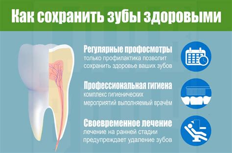 Регулярная гигиена полости рта как основа здоровых зубов