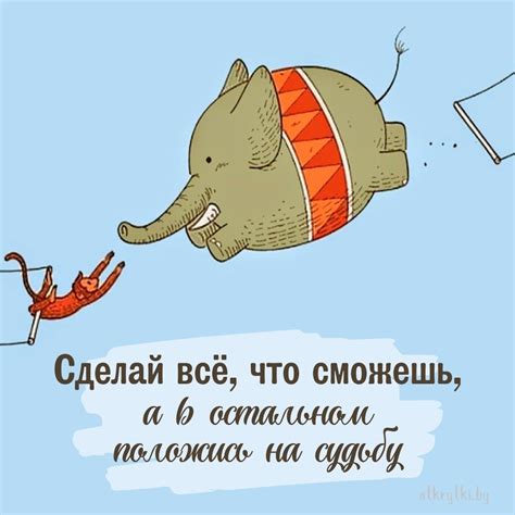 Регулярное подкормочное вещество для поддержки питательного баланса