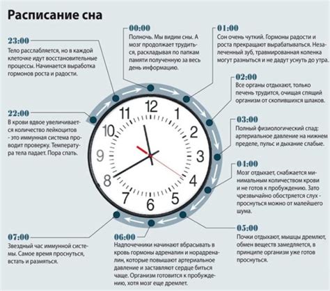 Регулярное расписание сна и пробуждения