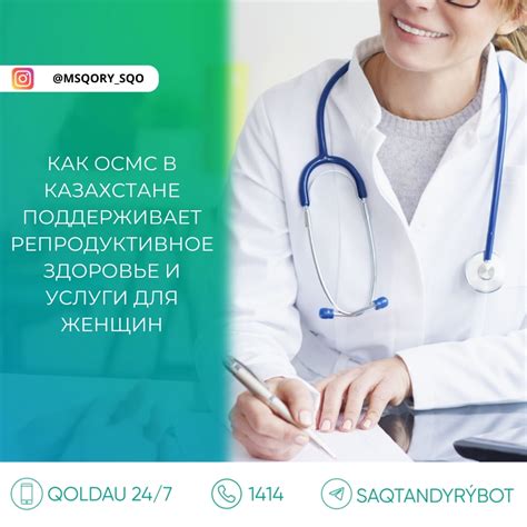Регулярные осмотры и превентивные меры для избежания появления ульев