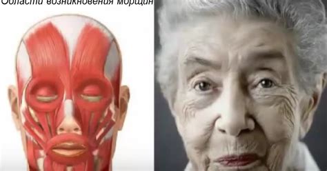 Регулярные упражнения для мышц лица