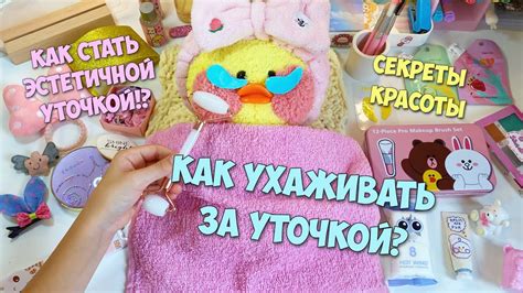 Регулярный уход за шерстью Лалафанфан