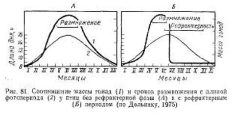 Регуляция биоритма птиц