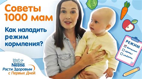 Режим кормления без искусственных примесей