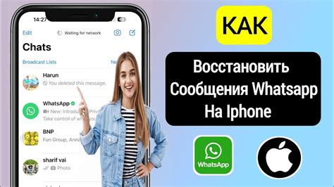 Резервное копирование WhatsApp на iPhone: детальная инструкция