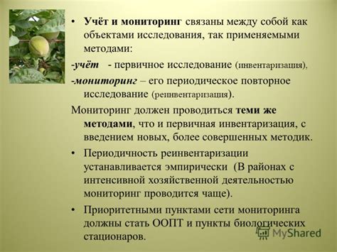 Реинвентаризация