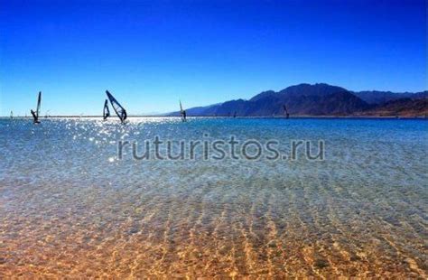 Рекомендации для безопасного отдыха в Красном море