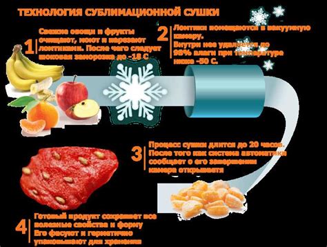Рекомендации для хранения сухарей и других подверженных заражению продуктов
