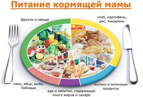 Рекомендации и ограничения по питанию в период грудного вскармливания