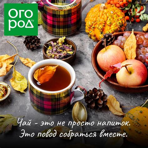 Рекомендации опытных садоводов