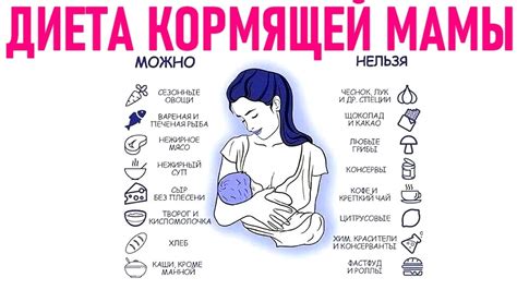 Рекомендации по включению кукурузы в рацион при грудном вскармливании