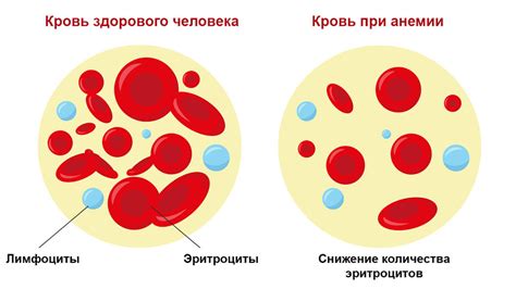 Рекомендации по длительному употреблению фолиевой кислоты