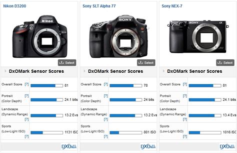 Рекомендации по использованию автоматического ISO на Nikon D3100