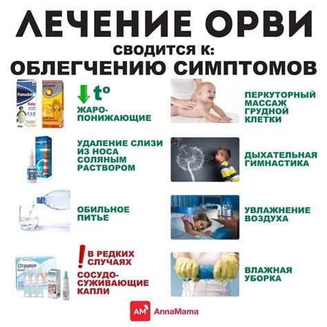 Рекомендации по обслуживанию шандоров