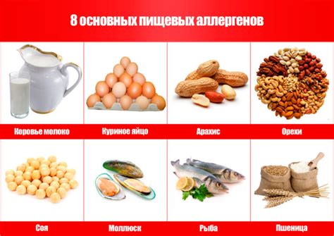 Рекомендации по поддержанию высокой эффективности тренировок при аллергии