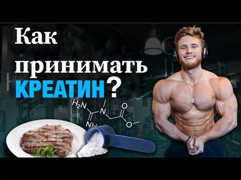 Рекомендации по приему креатина без тренировок