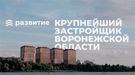 Рекомендации по созданию комфортной и безопасной среды для кошек
