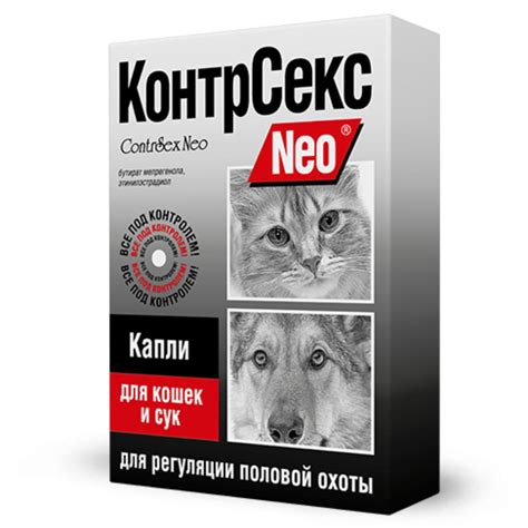 Рекомендации по стимуляции охоты у кошек