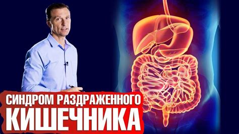 Рекомендации по употреблению семечек при синдроме раздраженного кишечника