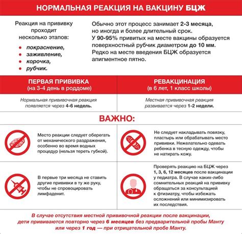 Рекомендации по уходу за ванной после очистки