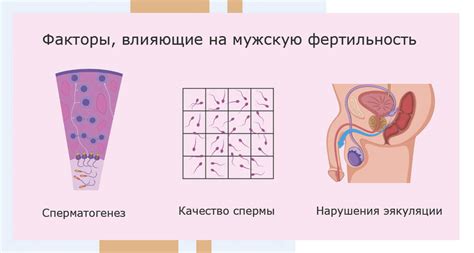 Рекомендации специалистов: что делать для повышения мужской фертильности после 40 лет