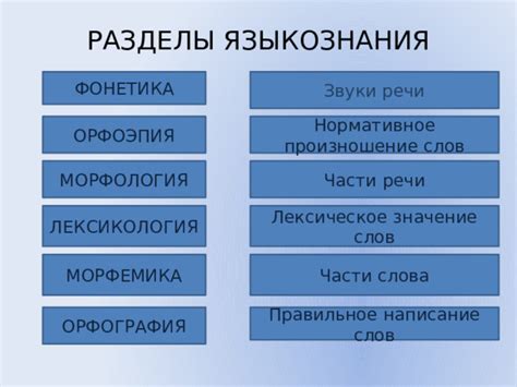 Ретушер в фотографии: правильное написание и значение