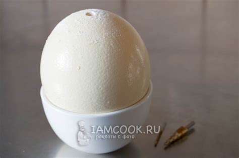 Рецепты блюд с использованием страусиного яйца