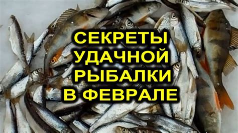 Рецепт карасиной каши для улова большой рыбы на рыбалке
