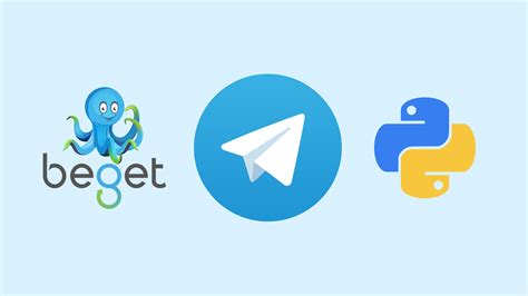 Решение возможных проблем при загрузке Python бота на хостинг Timeweb