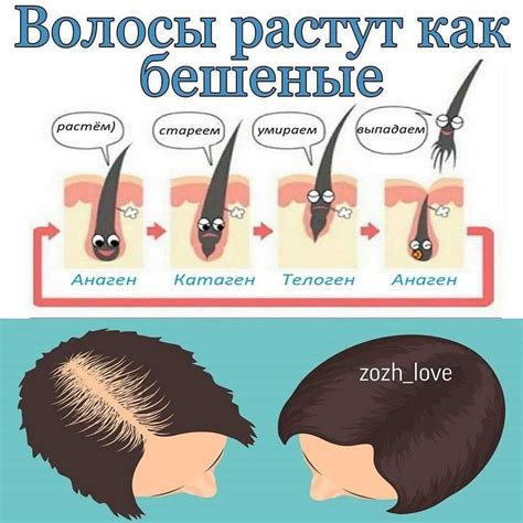 Решения для исправления направления роста волос