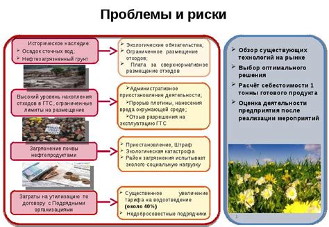 Риски и санитарные проблемы
