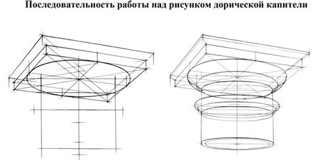 Рисование деталей инфузории