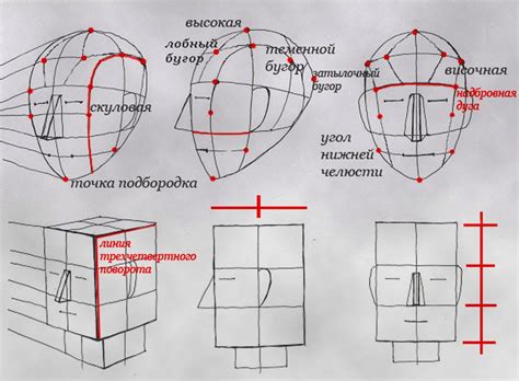 Рисование общей формы тела
