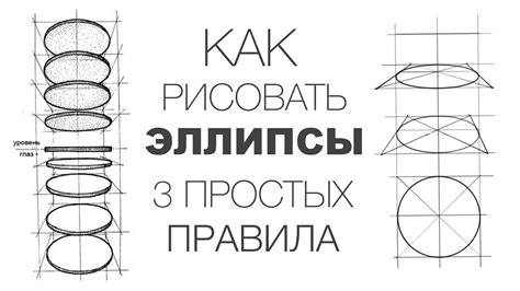 Рисование овала для туловища