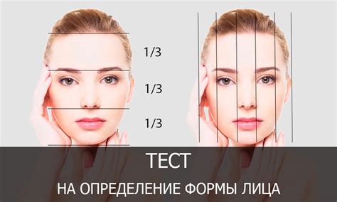 Рисуйте общую форму и пропорции