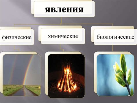 Ритм природы: древние циклы и биологические потребности