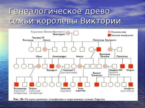 Родословная по генетике: руководство для начинающих