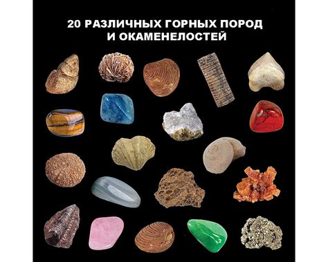 Рок-самоцветы и формирование окаменелостей: