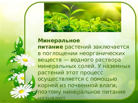 Ролевые различия в поглощении питательных веществ