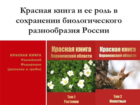 Роль биологического образования в сохранении природы