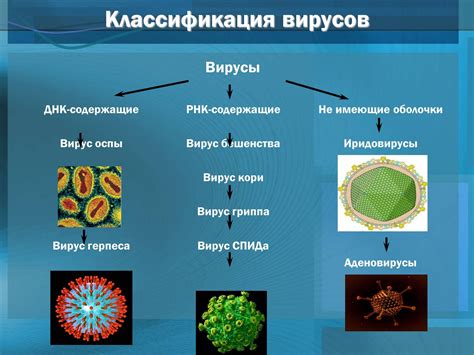 Роль вирусов в обмене веществ