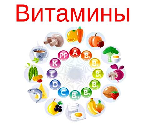 Роль витаминов и минералов в поддержке иммунитета